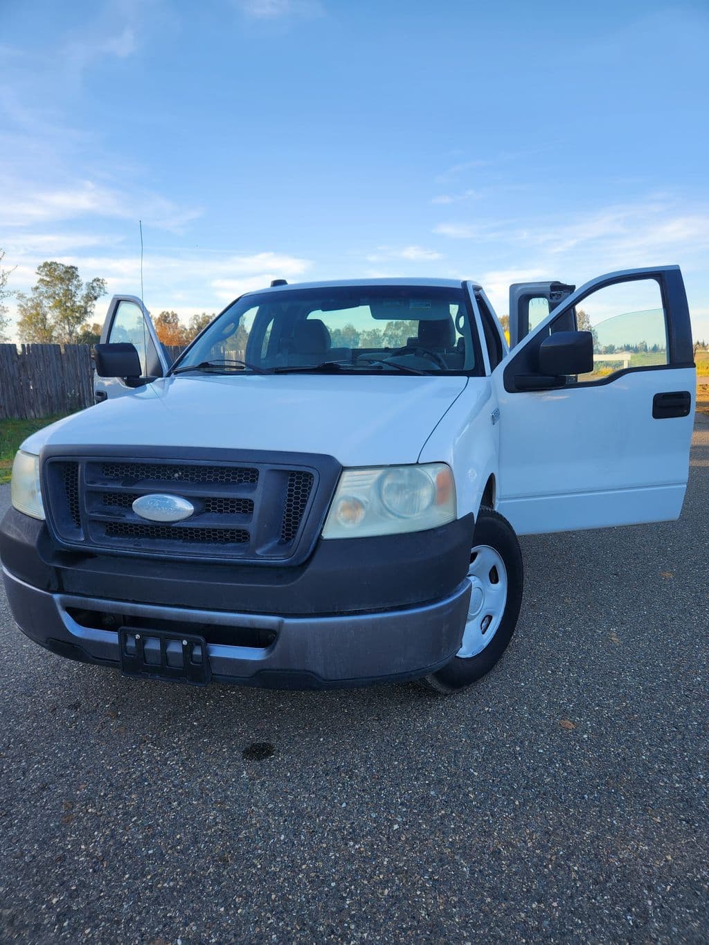 2008 Ford  F150 